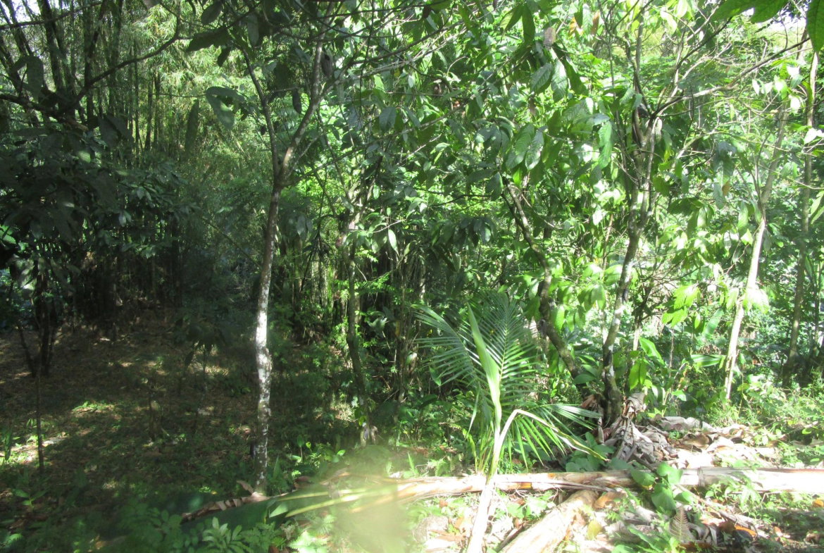 Sixth image of 1 Glengoffe Main Road in Glengoffe, St. Catherine, Jamaica - property is For Sale