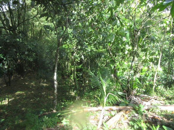 Sixth image of 1 Glengoffe Main Road in Glengoffe, St. Catherine, Jamaica - property is For Sale