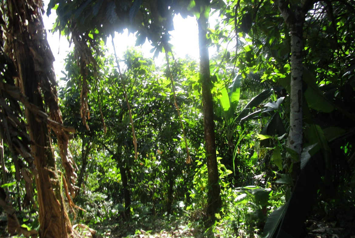 Seventh image of 1 Glengoffe Main Road in Glengoffe, St. Catherine, Jamaica - property is For Sale