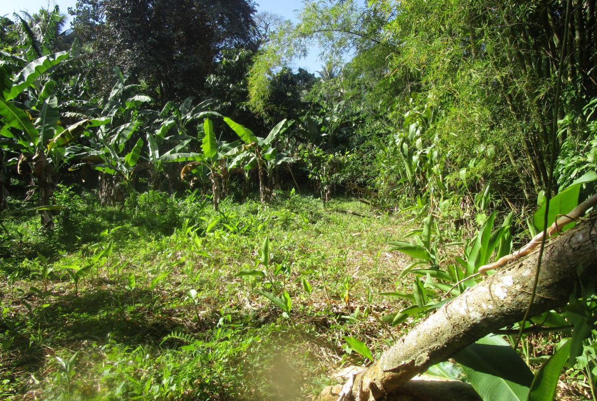 Eighth image of 1 Glengoffe Main Road in Glengoffe, St. Catherine, Jamaica - property is For Sale