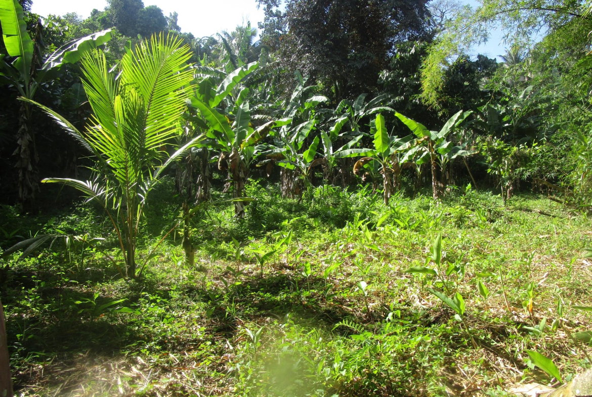 Ninth image of 1 Glengoffe Main Road in Glengoffe, St. Catherine, Jamaica - property is For Sale