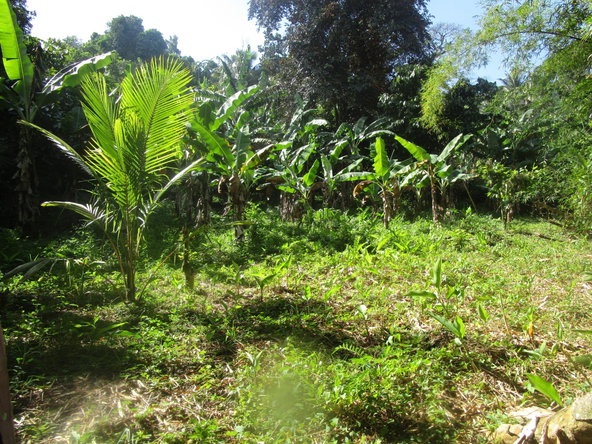 Ninth image of 1 Glengoffe Main Road in Glengoffe, St. Catherine, Jamaica - property is For Sale