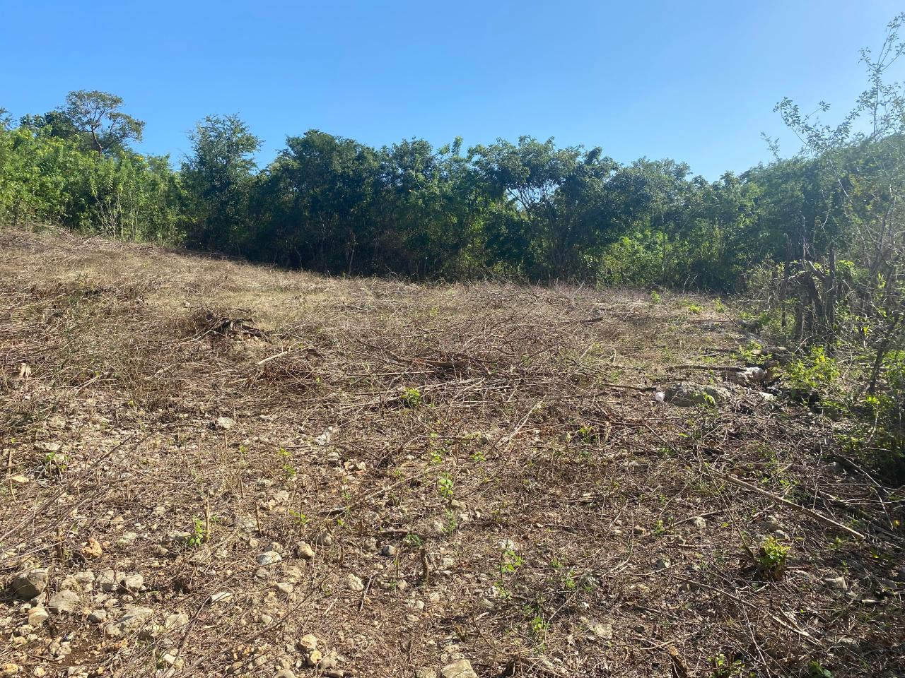 Second image of Stewarton, Treadlight in Stewarton, Clarendon, Jamaica - property is For Sale