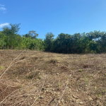 First image of Stewarton, Treadlight in Stewarton, Clarendon, Jamaica - property is For Sale
