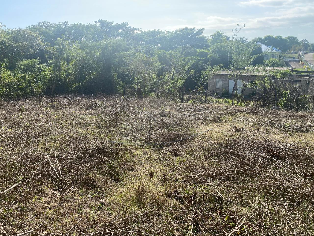 Third image of Stewarton, Treadlight in Stewarton, Clarendon, Jamaica - property is For Sale