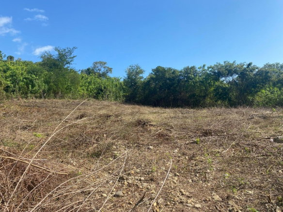 First image of Stewarton, Treadlight in Stewarton, Clarendon, Jamaica - property is For Sale