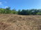 First image of Stewarton, Treadlight in Stewarton, Clarendon, Jamaica - property is For Sale