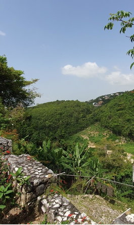 Third image of 35- Old Stony Hill rd Everest in Kingston 9, St. Andrew, Jamaica - property is For Sale