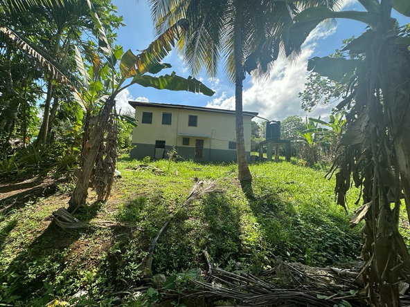 Tenth image of Orange River, St. Mary in Richmond, St. Mary, Jamaica - property is For Sale