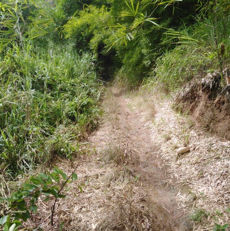 Eleventh image of Lot 40 Mount Dakin, Brandon Hill in Mount James, St. Andrew, Jamaica - property is For Sale