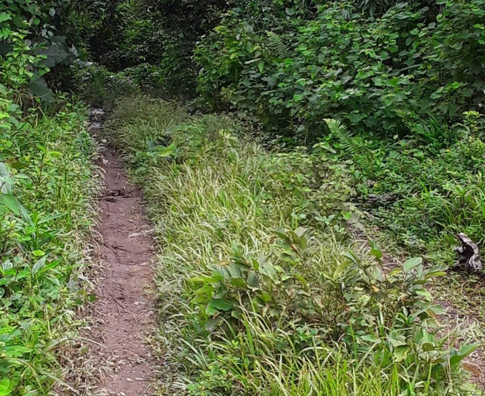 Thirteenth image of Lot 40 Mount Dakin, Brandon Hill in Mount James, St. Andrew, Jamaica - property is For Sale