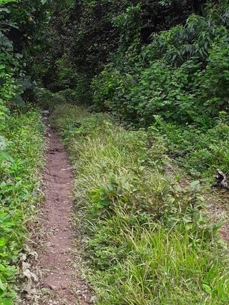 Thirteenth image of Lot 40 Mount Dakin, Brandon Hill in Mount James, St. Andrew, Jamaica - property is For Sale