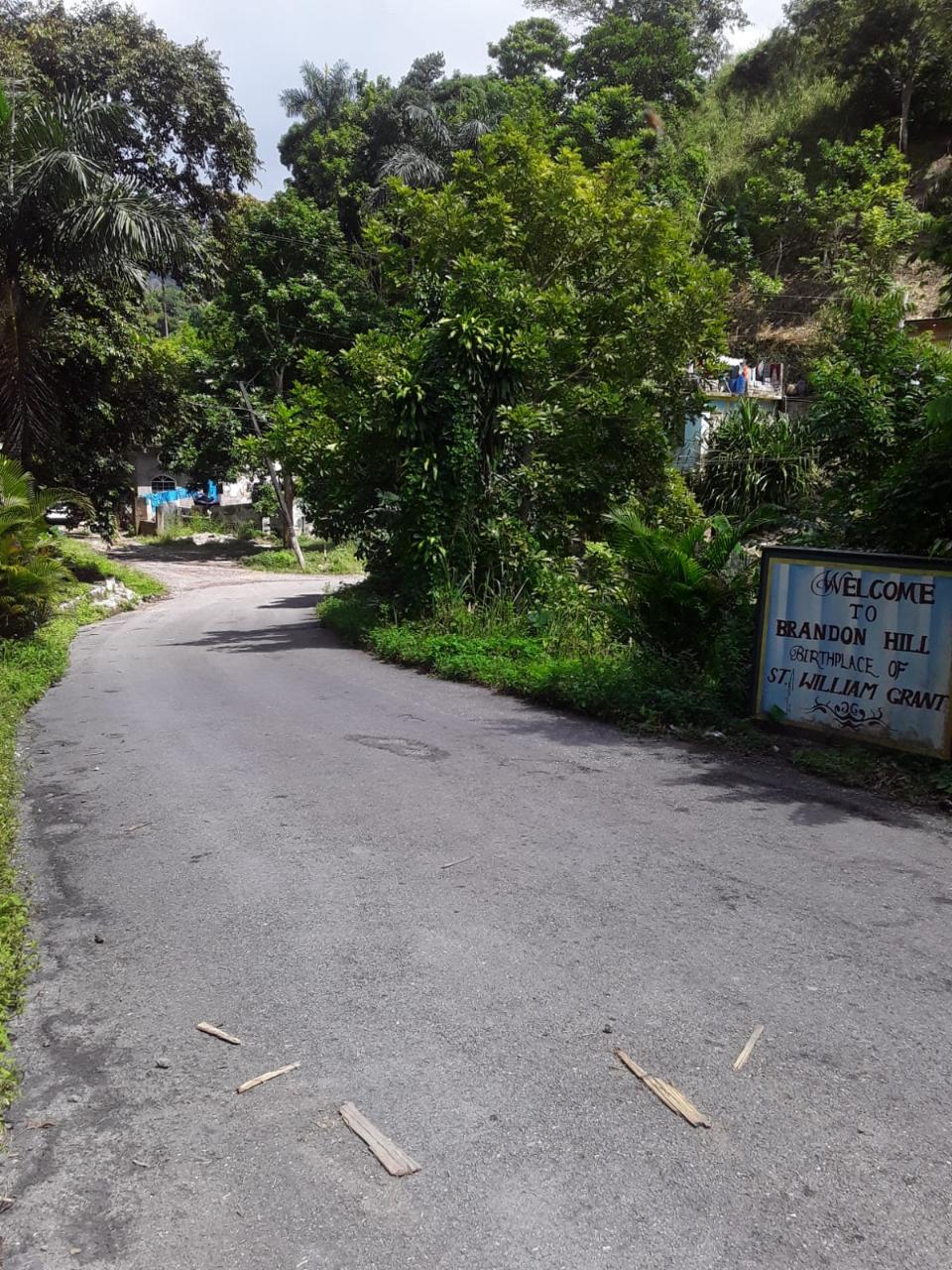 Affordable-Agricultural-Land-for-Sale-in-Mount-Dakin-Jamaica Third image of Lot 40 Mount Dakin, Brandon Hill in Mount James, St. Andrew, Jamaica - property is For Sale