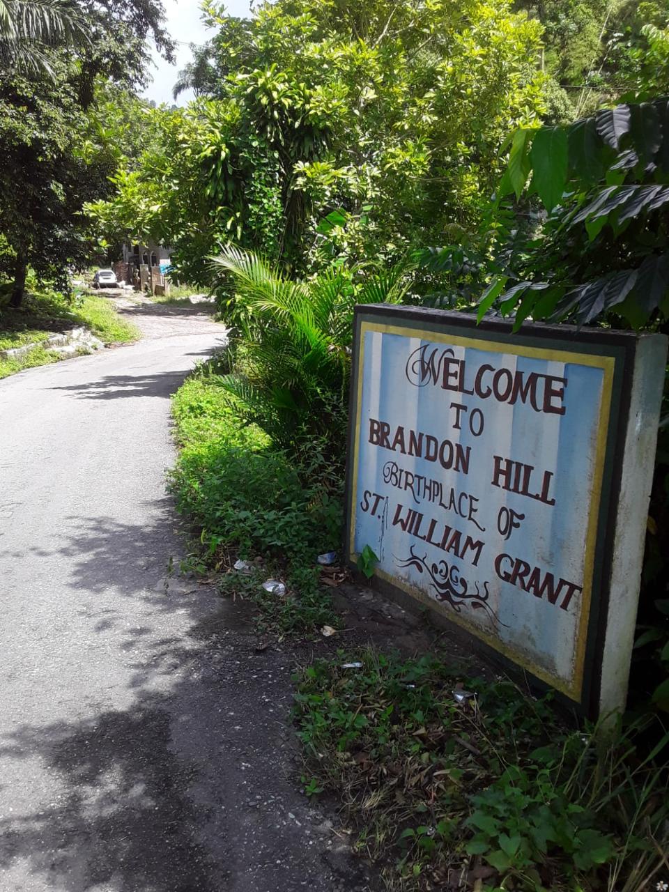 Affordable-Agricultural-Land-for-Sale-in-Mount-Dakin-Jamaica Fourth image of Lot 40 Mount Dakin, Brandon Hill in Mount James, St. Andrew, Jamaica - property is For Sale