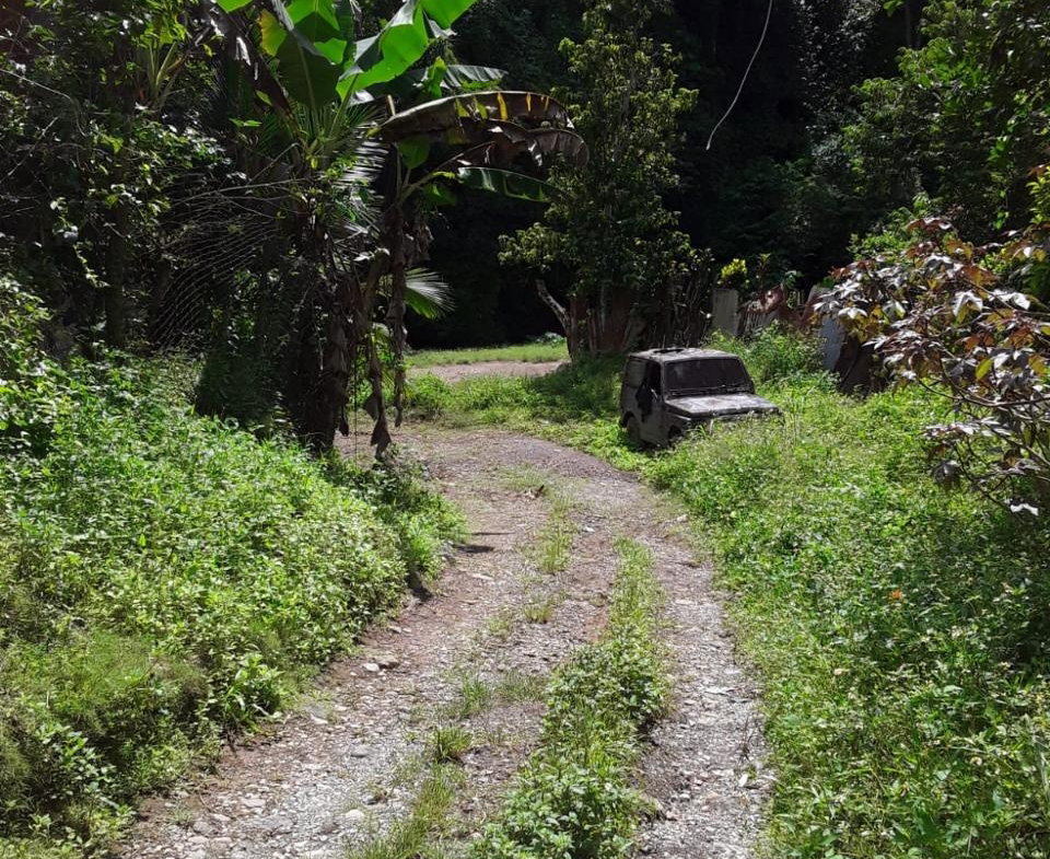 Sixth image of Lot 40 Mount Dakin, Brandon Hill in Mount James, St. Andrew, Jamaica - property is For Sale