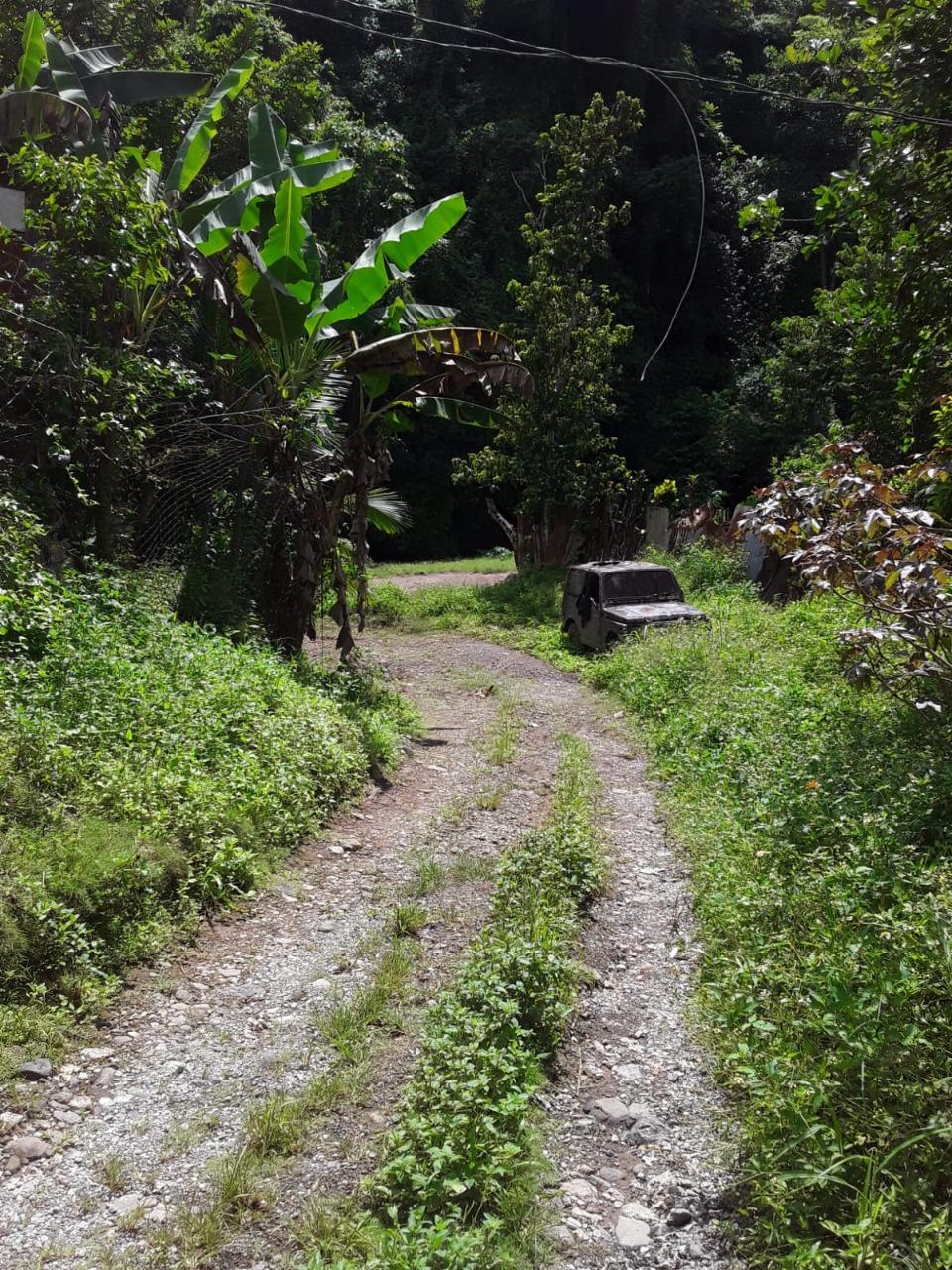 Affordable-Agricultural-Land-for-Sale-in-Mount-Dakin-Jamaica Sixth image of Lot 40 Mount Dakin, Brandon Hill in Mount James, St. Andrew, Jamaica - property is For Sale