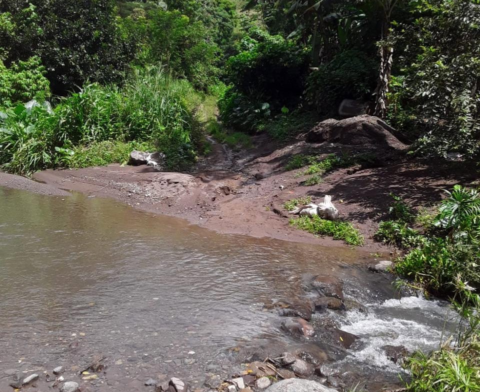 Seventh image of Lot 40 Mount Dakin, Brandon Hill in Mount James, St. Andrew, Jamaica - property is For Sale