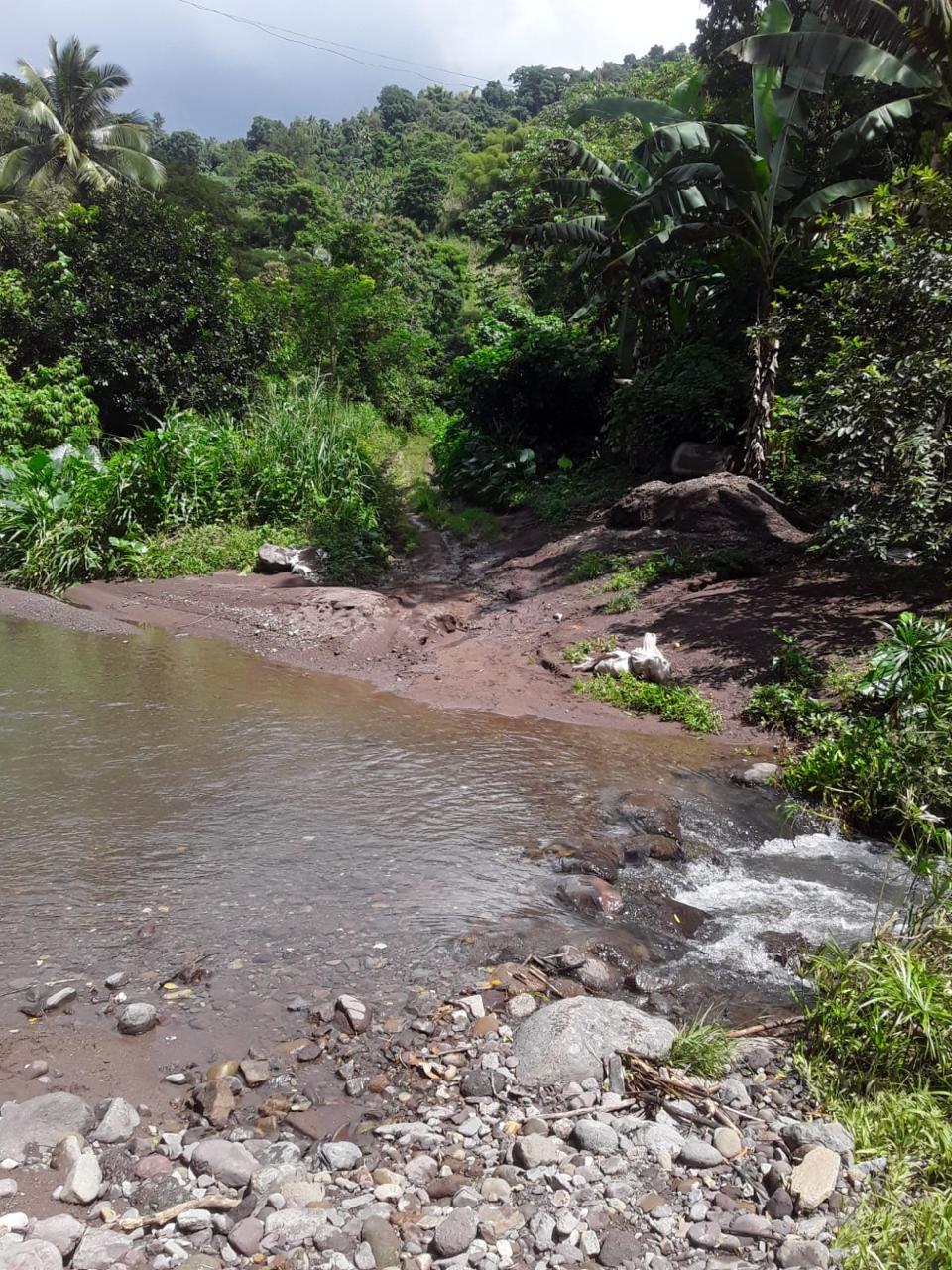 Affordable-Agricultural-Land-for-Sale-in-Mount-Dakin-Jamaica Seventh image of Lot 40 Mount Dakin, Brandon Hill in Mount James, St. Andrew, Jamaica - property is For Sale