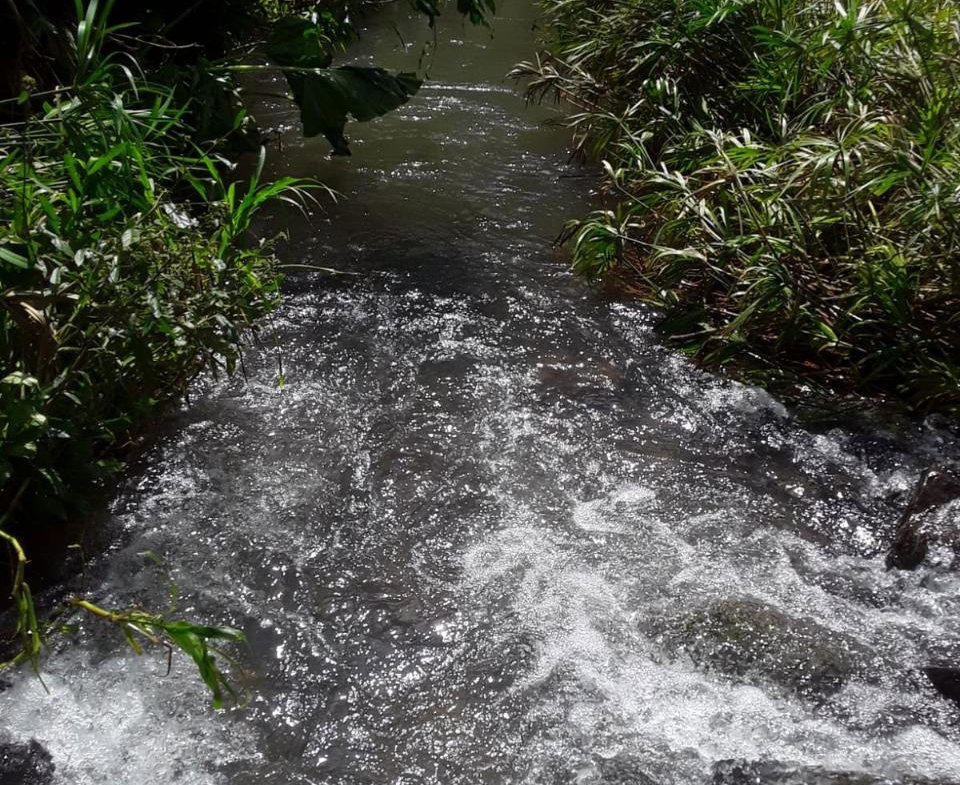 Eighth image of Lot 40 Mount Dakin, Brandon Hill in Mount James, St. Andrew, Jamaica - property is For Sale