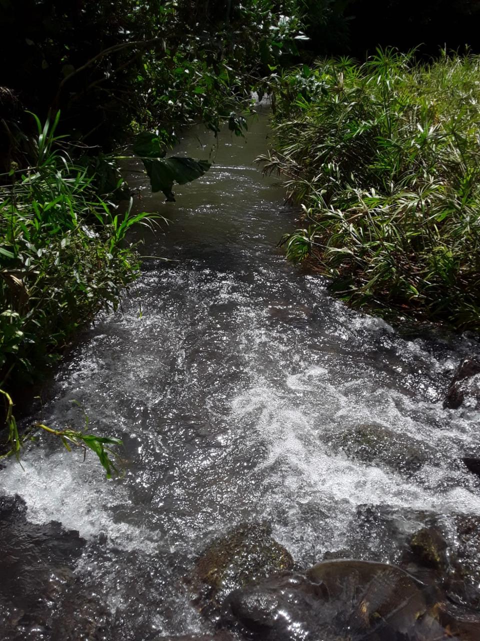 Affordable-Agricultural-Land-for-Sale-in-Mount-Dakin-Jamaica Eighth image of Lot 40 Mount Dakin, Brandon Hill in Mount James, St. Andrew, Jamaica - property is For Sale