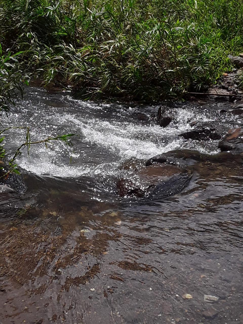 Affordable-Agricultural-Land-for-Sale-in-Mount-Dakin-Jamaica Ninth image of Lot 40 Mount Dakin, Brandon Hill in Mount James, St. Andrew, Jamaica - property is For Sale