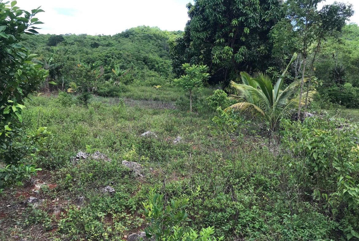 Fifteenth image of Sherwood Edgeware/ellen Street in Ellen Street, Manchester, Jamaica - property is For Sale