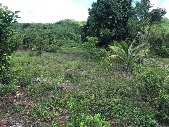 Fifteenth image of Sherwood Edgeware/ellen Street in Ellen Street, Manchester, Jamaica - property is For Sale