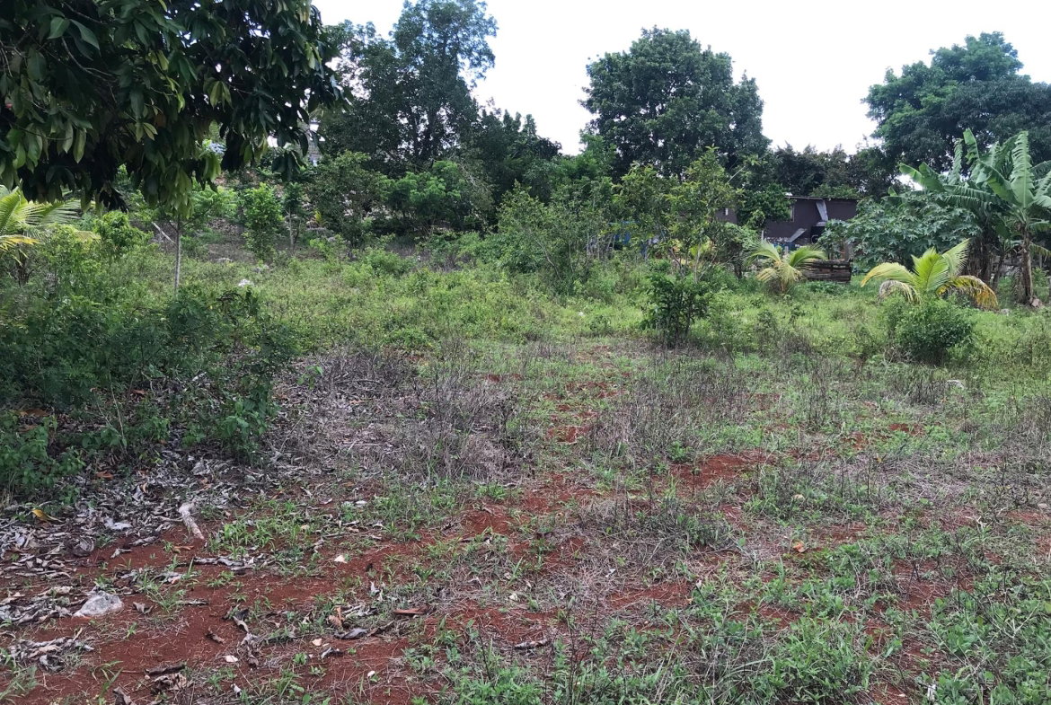 Sixteenth image of Sherwood Edgeware/ellen Street in Ellen Street, Manchester, Jamaica - property is For Sale