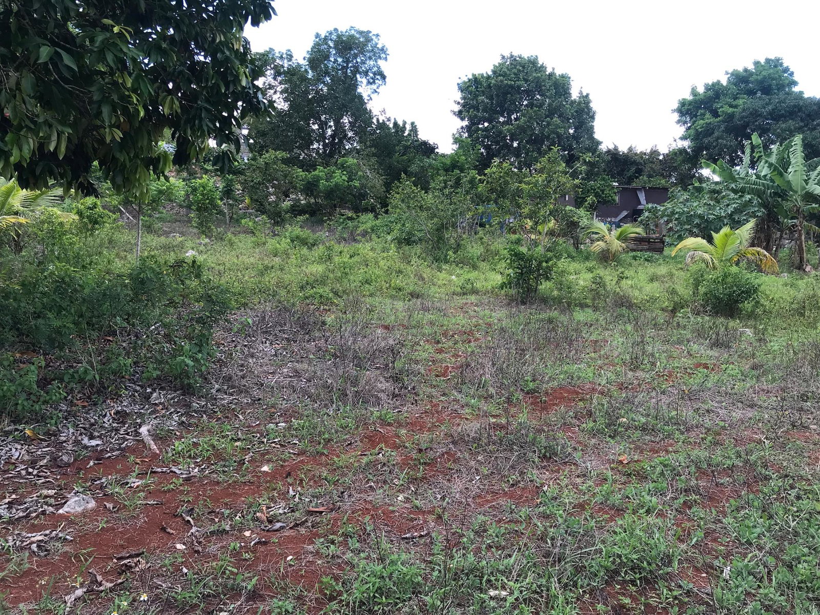 Sixteenth image of Sherwood Edgeware/ellen Street in Ellen Street, Manchester, Jamaica - property is For Sale