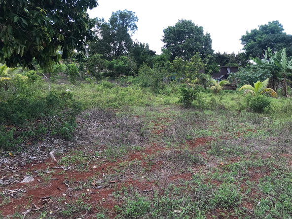 Sixteenth image of Sherwood Edgeware/ellen Street in Ellen Street, Manchester, Jamaica - property is For Sale