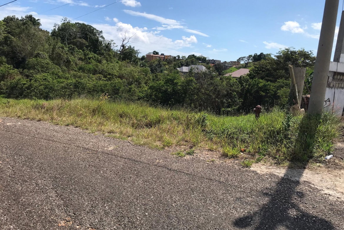 Second image of Lot No. 11 Littleton, Cedar Grove in Knockpatrick, Manchester, Jamaica - property is For Sale