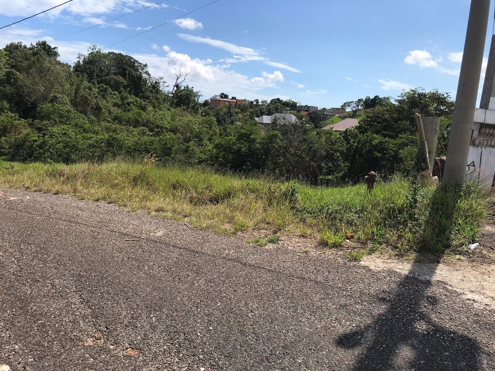 Second image of Lot No. 11 Littleton, Cedar Grove in Knockpatrick, Manchester, Jamaica - property is For Sale