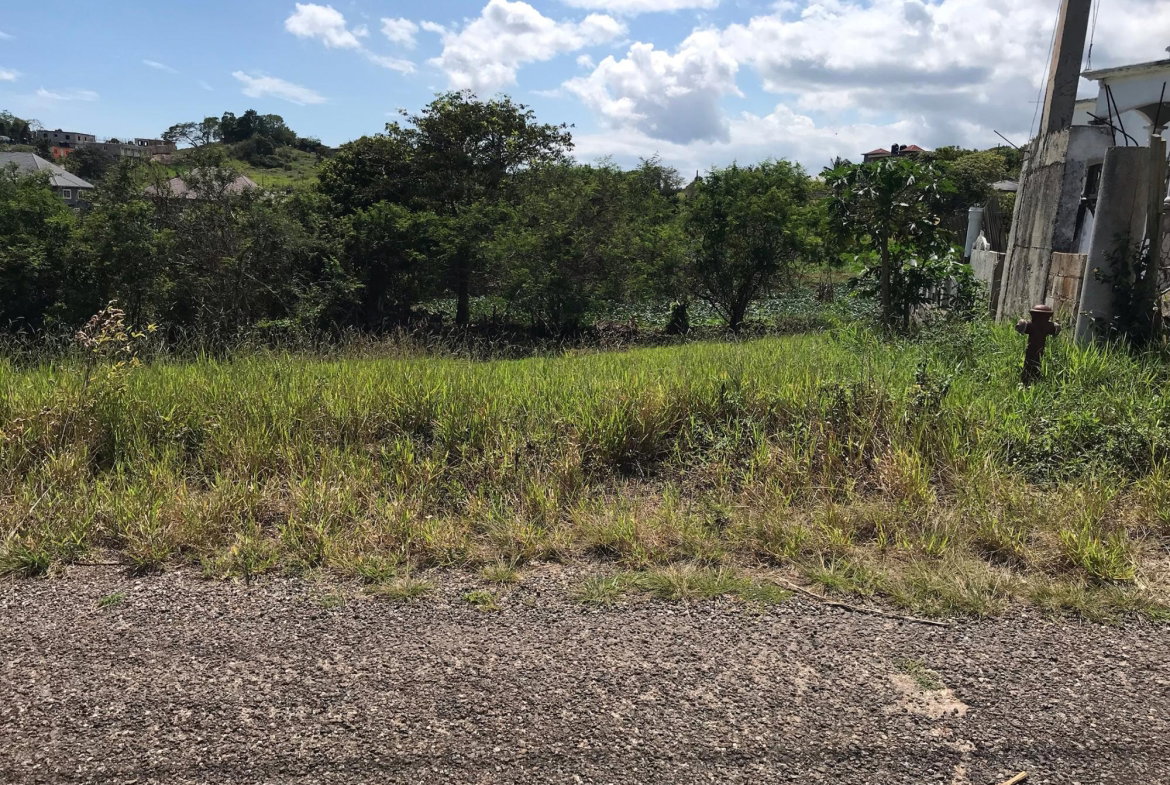 Third image of Lot No. 11 Littleton, Cedar Grove in Knockpatrick, Manchester, Jamaica - property is For Sale