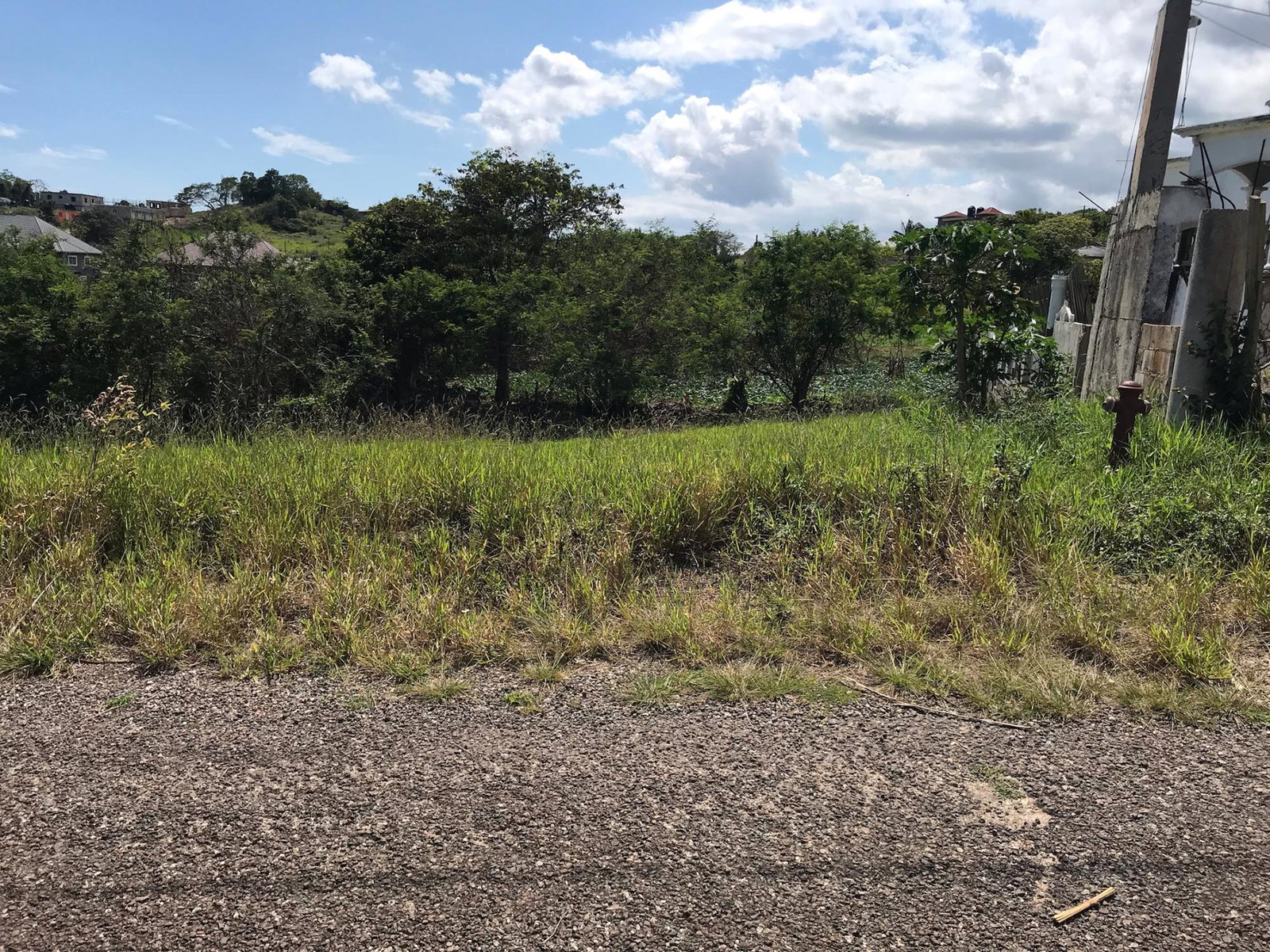 Third image of Lot No. 11 Littleton, Cedar Grove in Knockpatrick, Manchester, Jamaica - property is For Sale