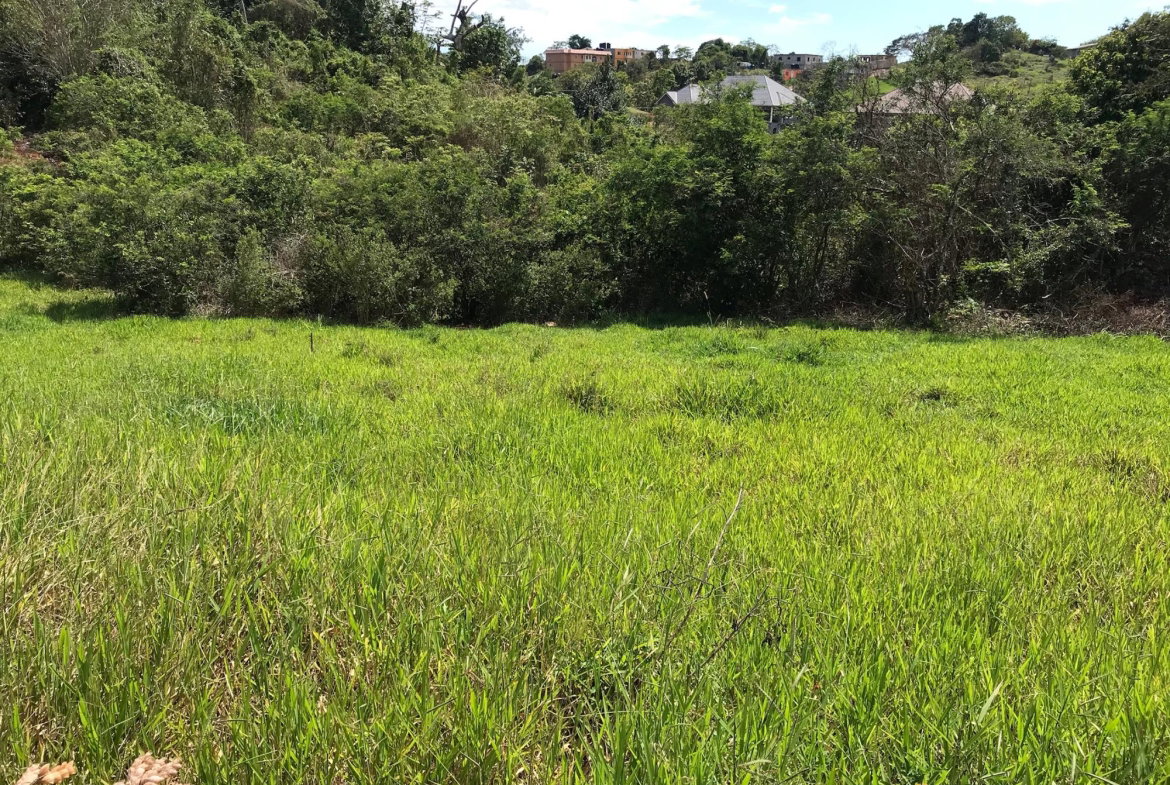 Fourth image of Lot No. 11 Littleton, Cedar Grove in Knockpatrick, Manchester, Jamaica - property is For Sale