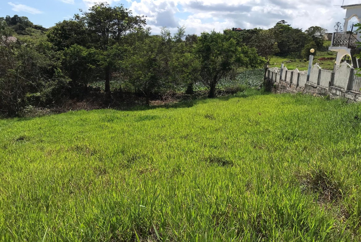 Fifth image of Lot No. 11 Littleton, Cedar Grove in Knockpatrick, Manchester, Jamaica - property is For Sale