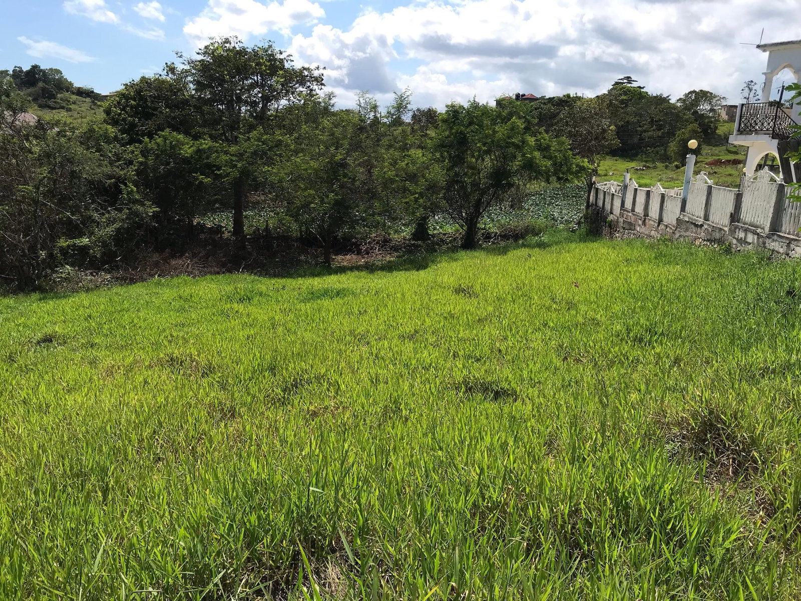 Fifth image of Lot No. 11 Littleton, Cedar Grove in Knockpatrick, Manchester, Jamaica - property is For Sale