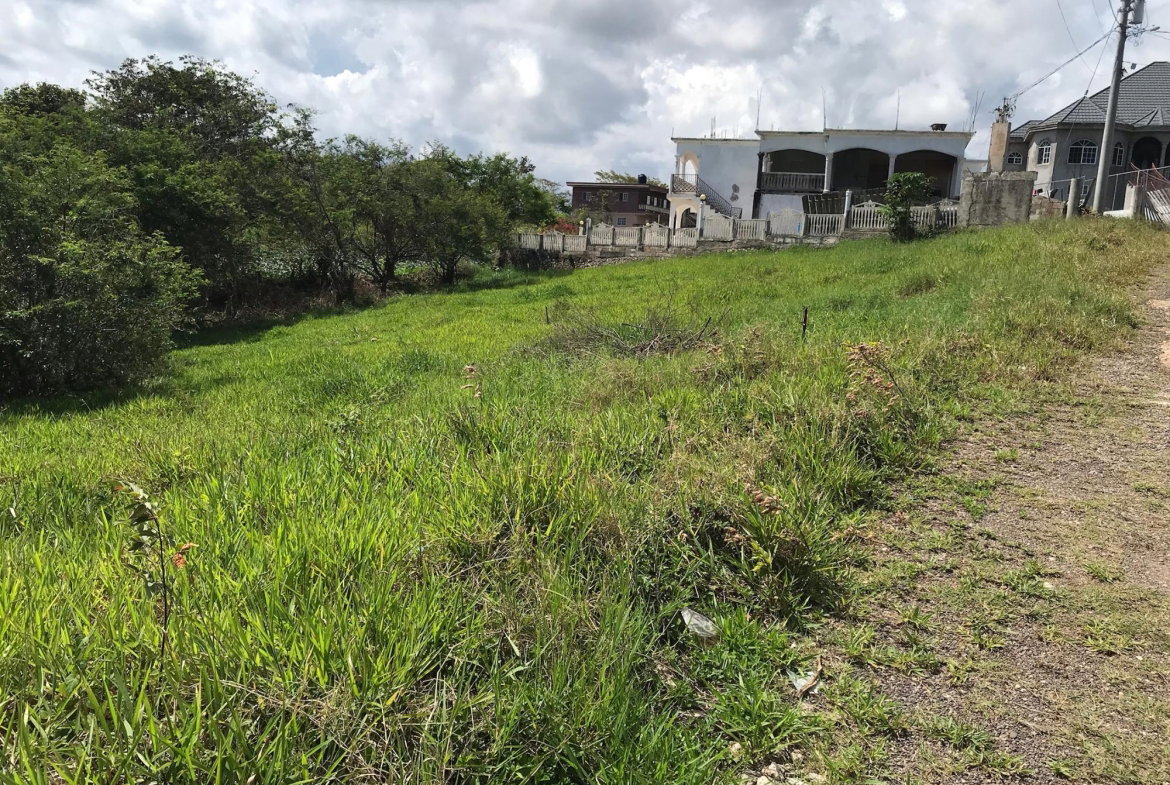 Sixth image of Lot No. 11 Littleton, Cedar Grove in Knockpatrick, Manchester, Jamaica - property is For Sale