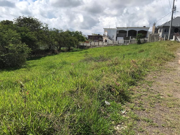 Sixth image of Lot No. 11 Littleton, Cedar Grove in Knockpatrick, Manchester, Jamaica - property is For Sale