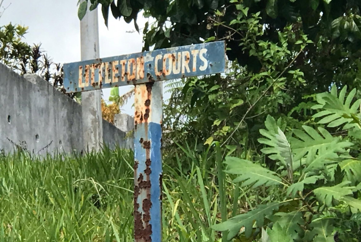 Seventh image of Lot No. 11 Littleton, Cedar Grove in Knockpatrick, Manchester, Jamaica - property is For Sale