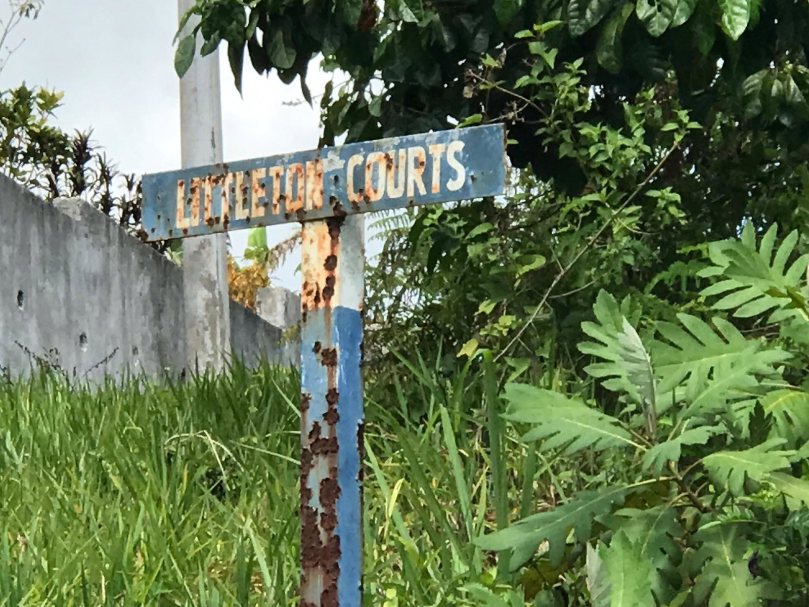 Seventh image of Lot No. 11 Littleton, Cedar Grove in Knockpatrick, Manchester, Jamaica - property is For Sale