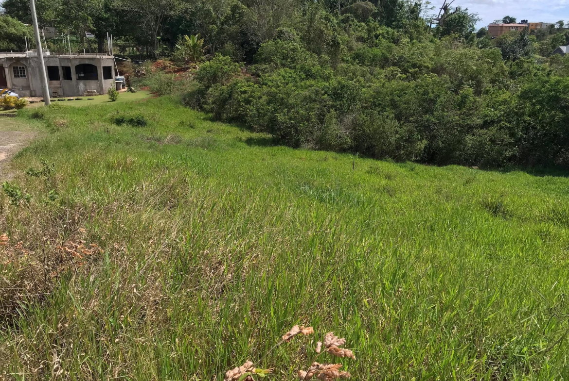 Eighth image of Lot No. 11 Littleton, Cedar Grove in Knockpatrick, Manchester, Jamaica - property is For Sale