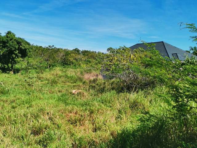 Second image of Cheapside Junction in Junction, St. Elizabeth, Jamaica - property is For Sale