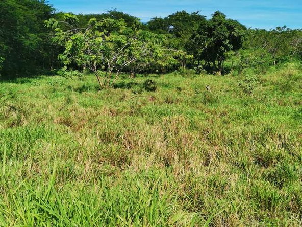Fourth image of Cheapside Junction in Junction, St. Elizabeth, Jamaica - property is For Sale