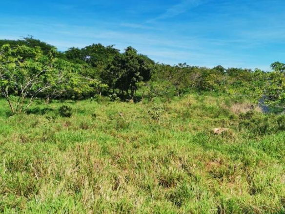 First image of Cheapside Junction in Junction, St. Elizabeth, Jamaica - property is For Sale