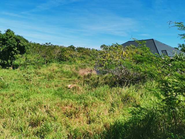 Second image of Cheapside Junction in Junction, St. Elizabeth, Jamaica - property is For Sale