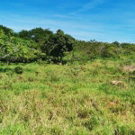 First image of Cheapside Junction in Junction, St. Elizabeth, Jamaica - property is For Sale