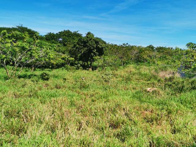 Third image of Cheapside Junction in Junction, St. Elizabeth, Jamaica - property is For Sale