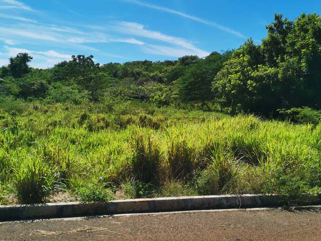 Fifth image of Cheapside Junction in Junction, St. Elizabeth, Jamaica - property is For Sale
