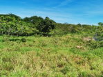 First image of Cheapside Junction in Junction, St. Elizabeth, Jamaica - property is For Sale